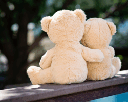 Untitled design (13) Untitled design (13)